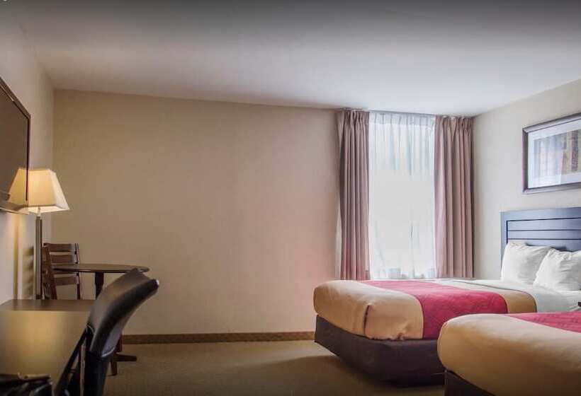 2ダブルベッドのスタンダードルーム, New Lodge