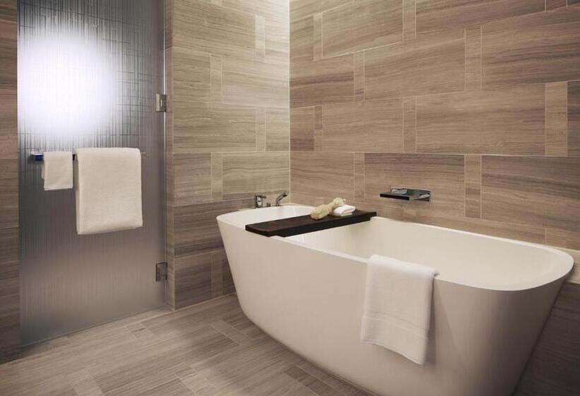 适合残疾人士使用的带超级大床的标准间, Park Hyatt New York