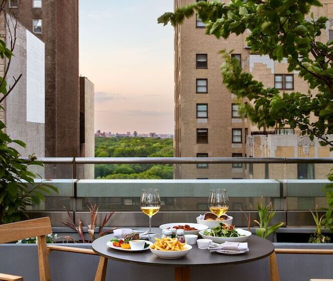 带露台的套间, Park Hyatt New York