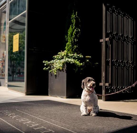 总统套房, Park Hyatt New York