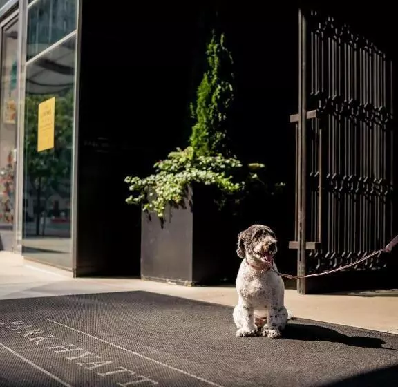 Presidenttisviitti, Park Hyatt New York
