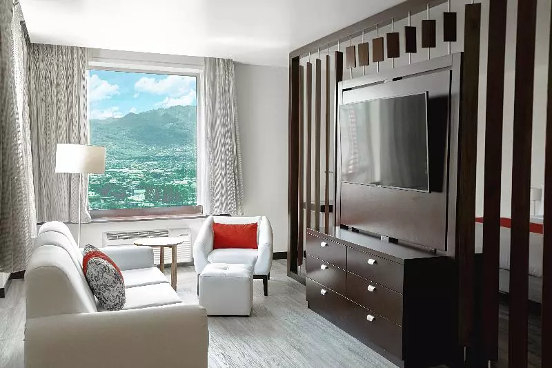 سوئیت با تخت بزرگ, Park Inn San Jose By Radisson