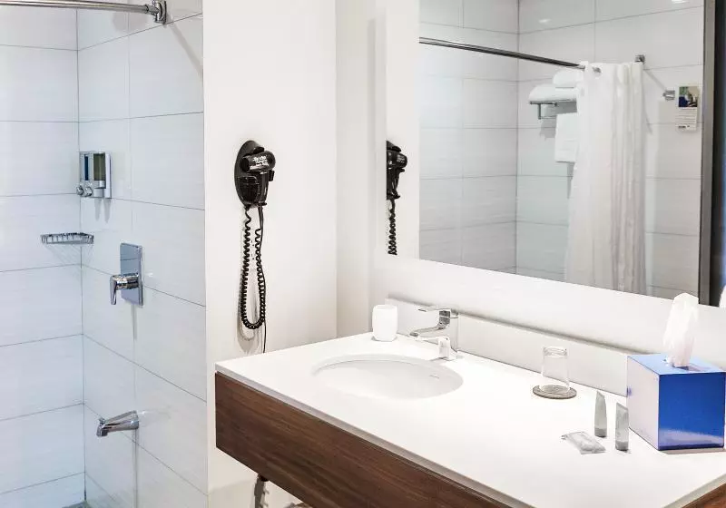 اتاق استاندارد, Park Inn San Jose By Radisson