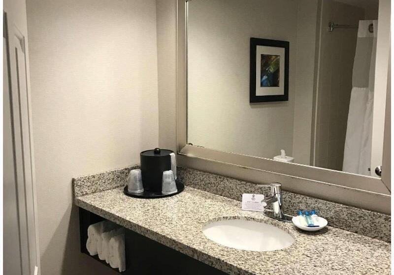 Номер Премиум, Park Inn San Jose By Radisson