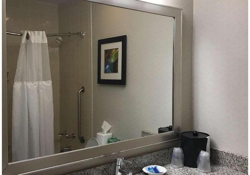 프리미엄 룸, Park Inn San Jose By Radisson