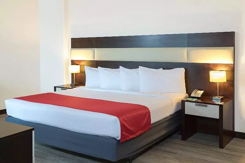 اتاق لوکس با تخت بزرگ, Park Inn San Jose By Radisson