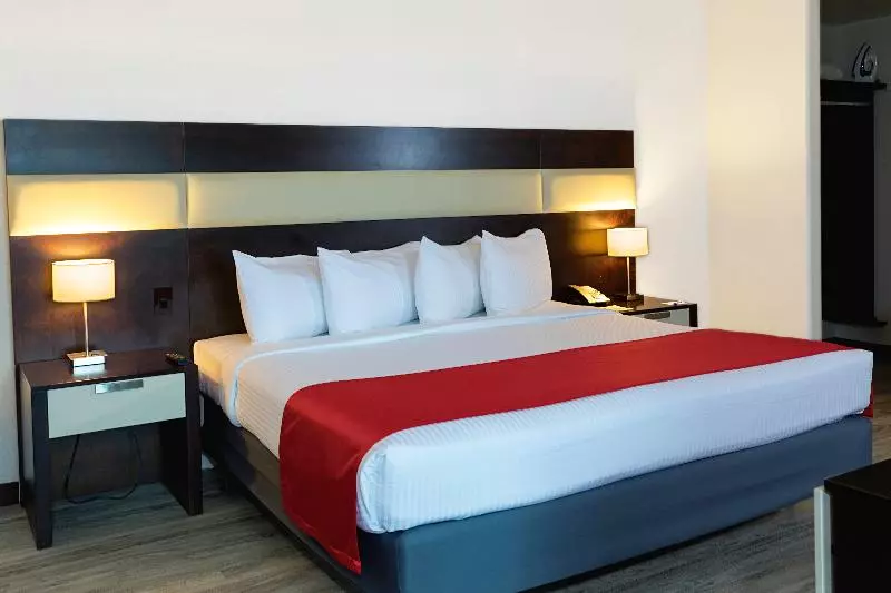 اتاق لوکس با تخت بزرگ, Park Inn San Jose By Radisson