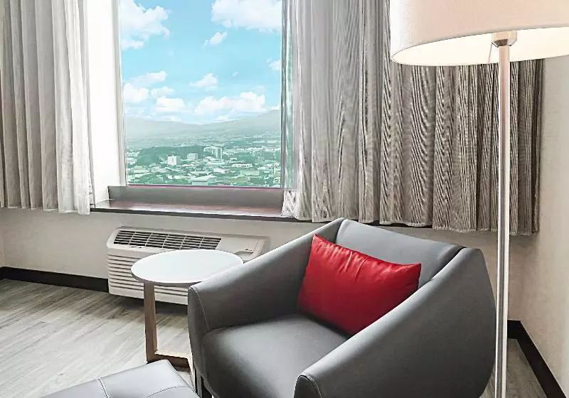 اتاق استاندارد با تخت بزرگ, Park Inn San Jose By Radisson