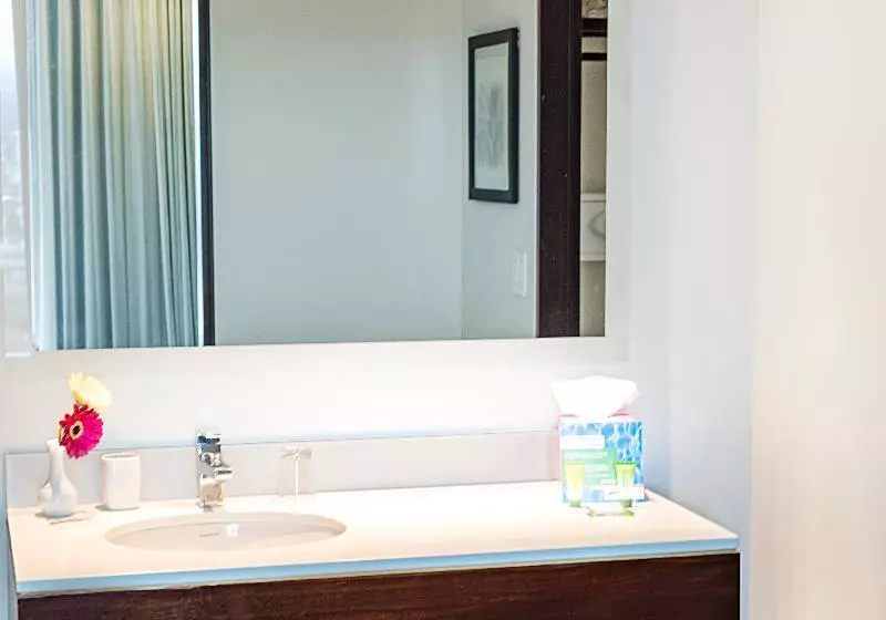 اتاق استاندارد با تخت بزرگ, Park Inn San Jose By Radisson