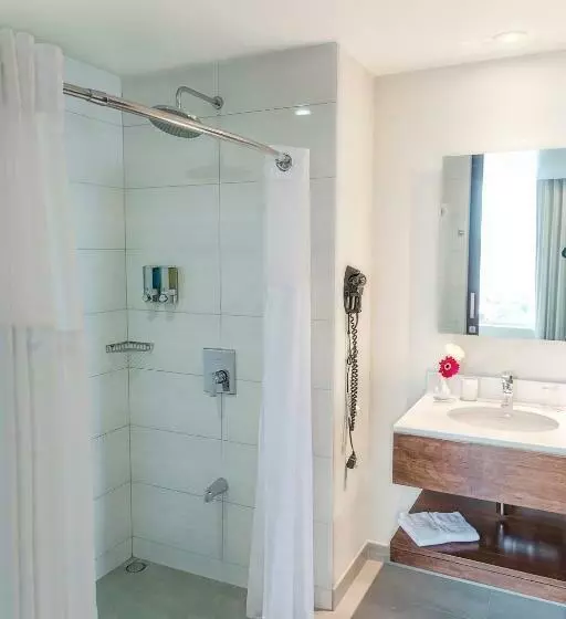 اتاق استاندارد با تخت بزرگ, Park Inn San Jose By Radisson