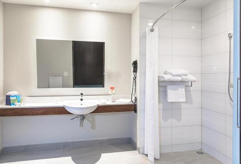 Стандартный Номер Кровать Кинг, Park Inn San Jose By Radisson