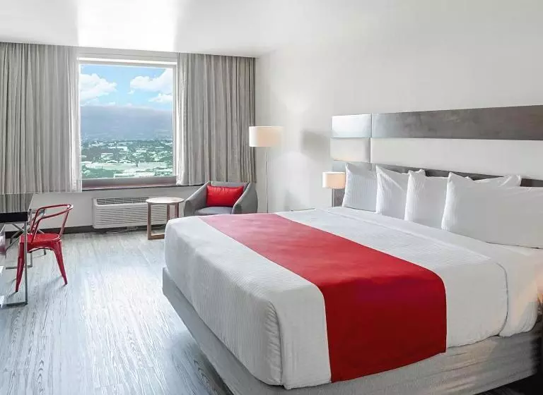 اتاق استاندارد با تخت بزرگ, Park Inn San Jose By Radisson