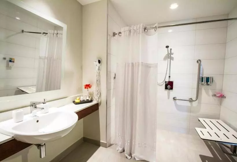 اتاق استاندارد با تخت بزرگ, Park Inn San Jose By Radisson