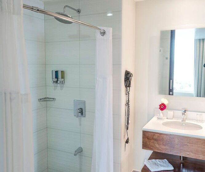 Номер Премиум, Park Inn San Jose By Radisson