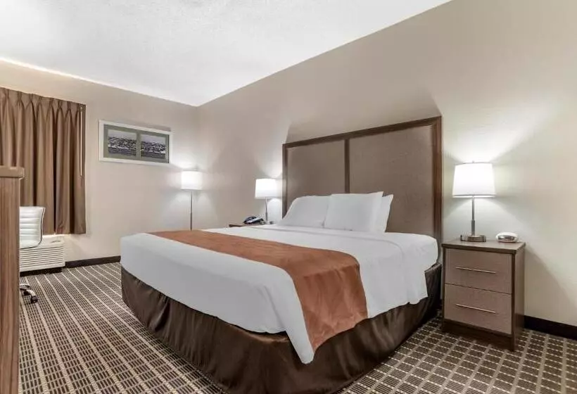 キングサイズベッドのスタンダードルーム, Quality Inn