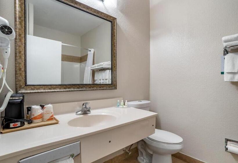 غرفة قياسية سرير كينج, Quality Inn