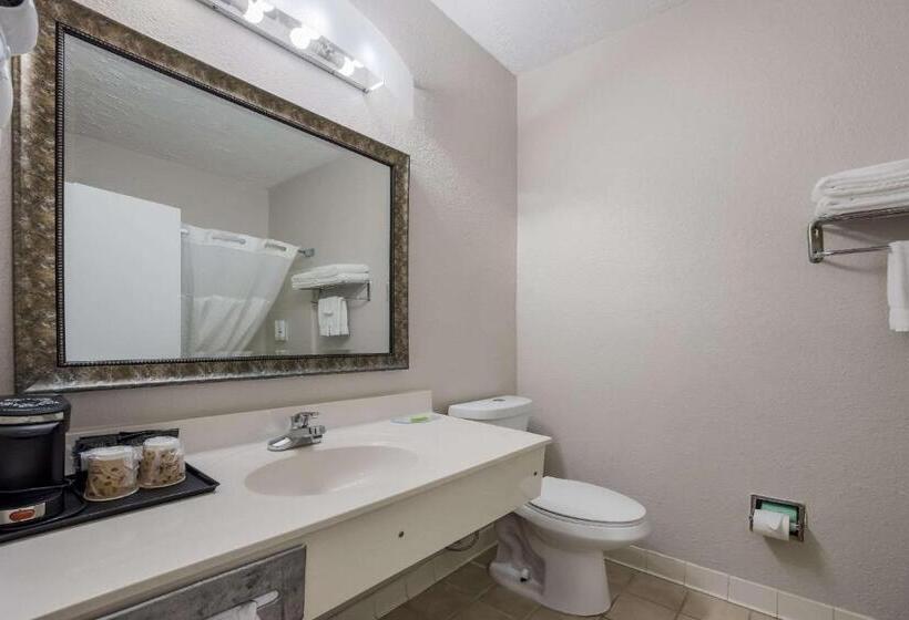 غرفة قياسية سرير كينج, Quality Inn