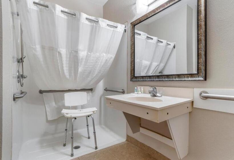 غرفة قياسية سرير كينج لذوى الإحتياجات الخاصة, Quality Inn