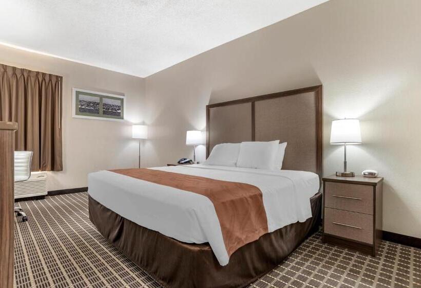 غرفة قياسية سرير كينج لذوى الإحتياجات الخاصة, Quality Inn