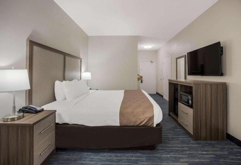 غرفة قياسية سرير كينج لذوى الإحتياجات الخاصة, Quality Inn