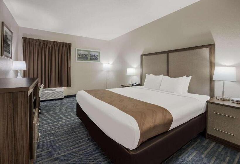 Номер Стандарт Кровать Кинг Адаптированный для Инвалидов, Quality Inn