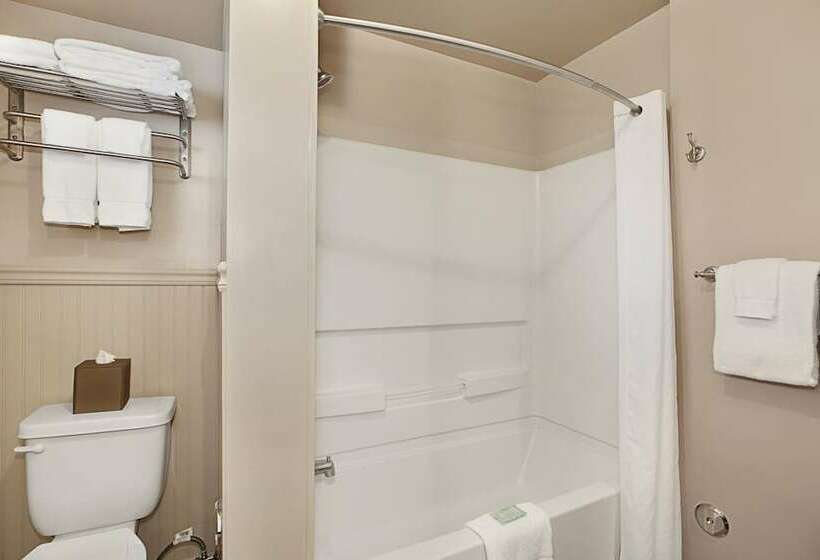 غرفة قياسية مطلّة علي البحر, The Iso By Castle