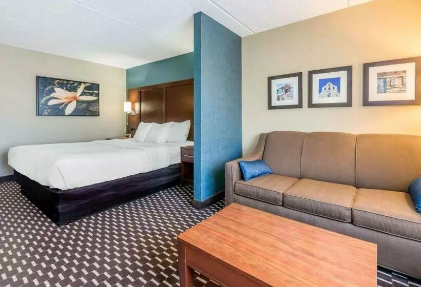 سوئیت با تخت بزرگ, Spark By Hilton St. Augustine Historic District