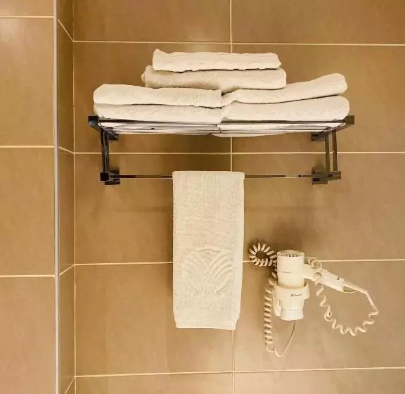 اتاق پرمیوم, Karbala Rayhaan Hotel & Suites