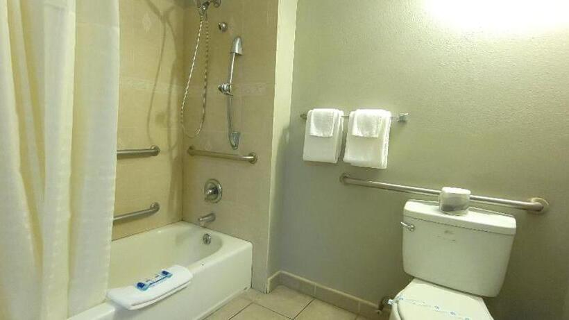 غرفة قياسية لذوى الاحتياجات الخاصة, Rodeway Inn Chico University Area