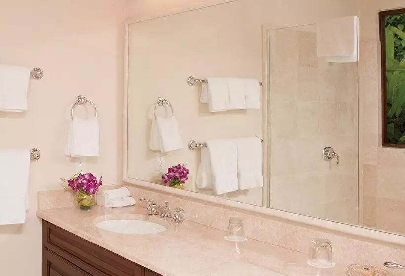 ویلای 4 خوابه, Four Seasons Resort Nevis