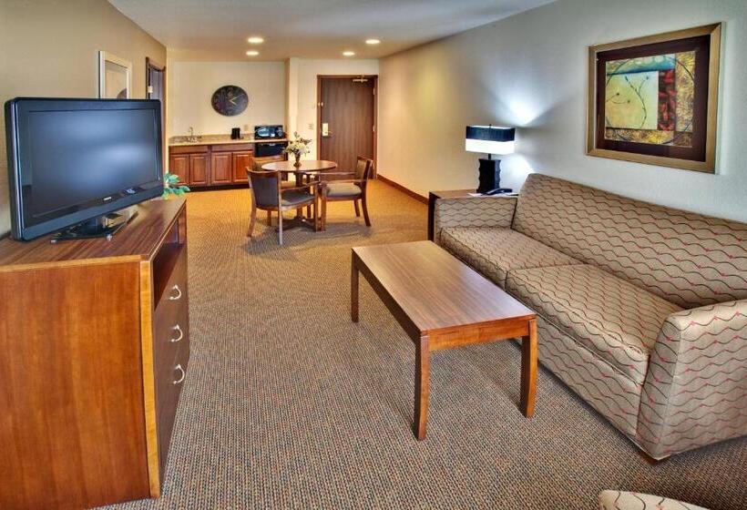 Люкс Кровать Кинг, Holiday Inn Express Hotel & Suites Dubuque West, An Ihg
