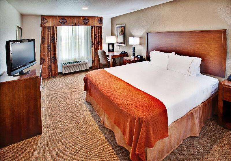 Стандартный Номер Кровать Кинг, Holiday Inn Express Hotel & Suites Dubuque West, An Ihg