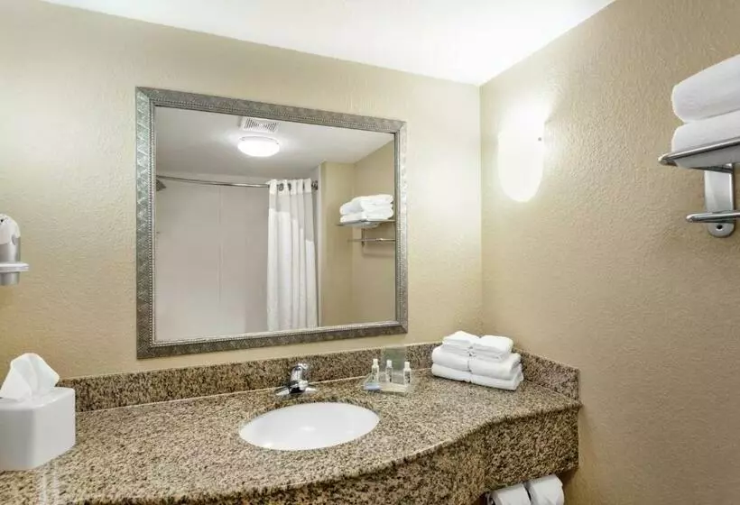 スタンダードルーム, Holiday Inn Hotel & Suites Daytona Beach On The Ocean, An Ihg