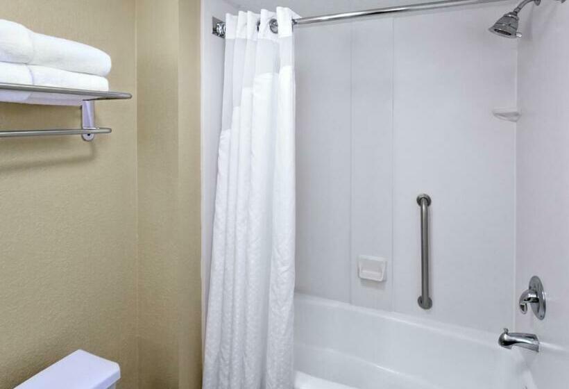 Standart Oda, Holiday Inn Hotel & Suites Daytona Beach On The Ocean, An Ihg