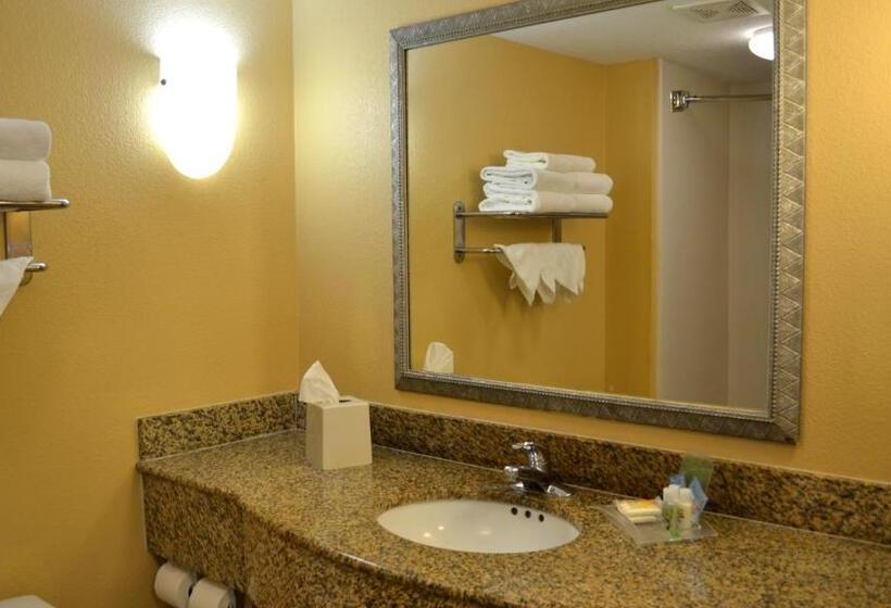 Büyük Çift Kişilik Yataklı Standart Oda, Holiday Inn Hotel & Suites Daytona Beach On The Ocean, An Ihg