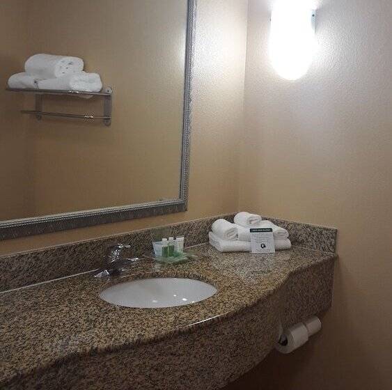 Standart Oda, Holiday Inn Hotel & Suites Daytona Beach On The Ocean, An Ihg