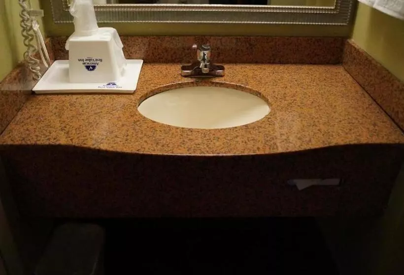 اتاق استاندارد, Americas Best Value Inn St. Louis Downtown