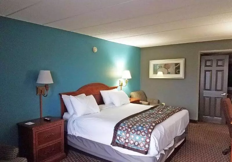 اتاق استاندارد با تخت بزرگ, Americas Best Value Inn St. Louis Downtown