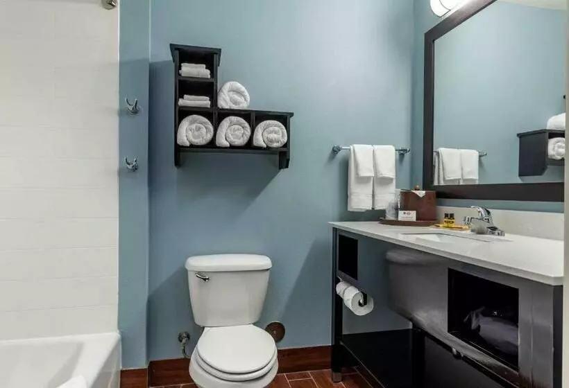 スタンダードルーム, Best Western Plus North Odessa Inn & Suites