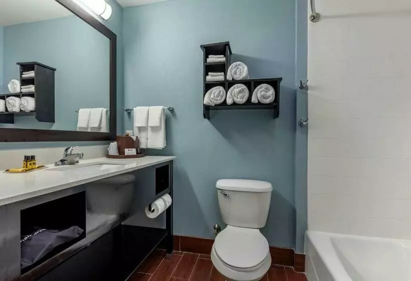 キングサイズベッドのスイートルーム, Best Western Plus North Odessa Inn & Suites