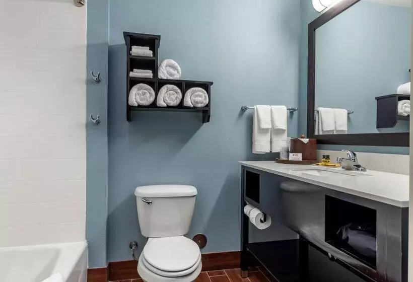 キングサイズベッドのスタンダードルーム, Best Western Plus North Odessa Inn & Suites