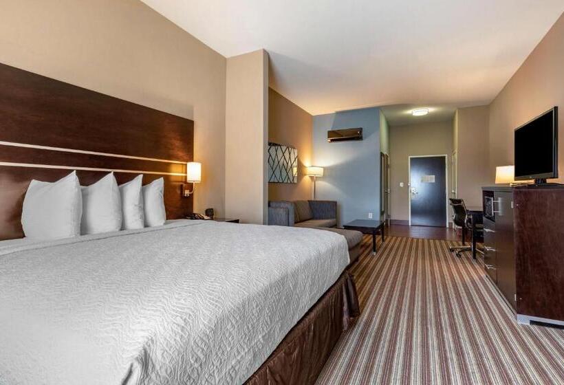 Стандартный Номер Кровать Кинг, Best Western Plus North Odessa Inn & Suites