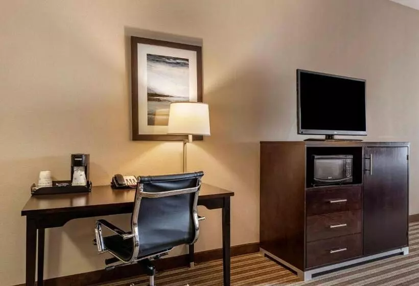 キングサイズベッドのスタンダードルーム, Best Western Plus North Odessa Inn & Suites