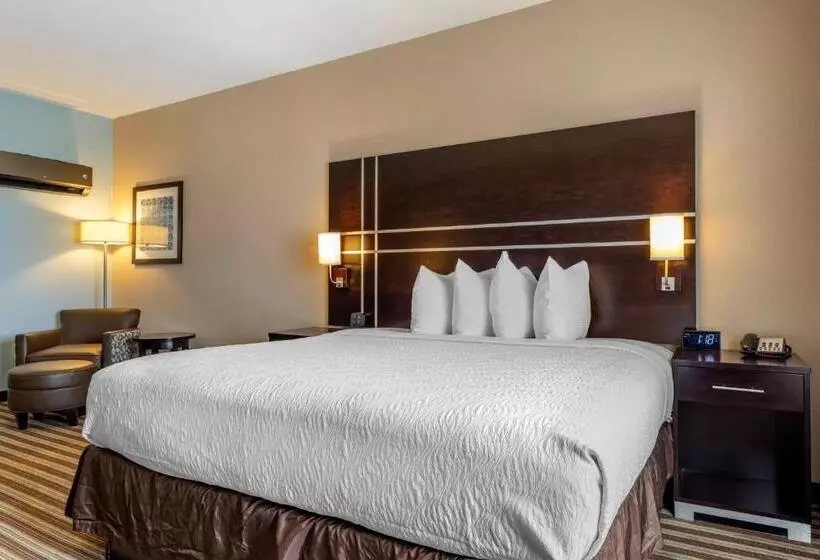 身障者適用キングサイズベッドルーム, Best Western Plus North Odessa Inn & Suites