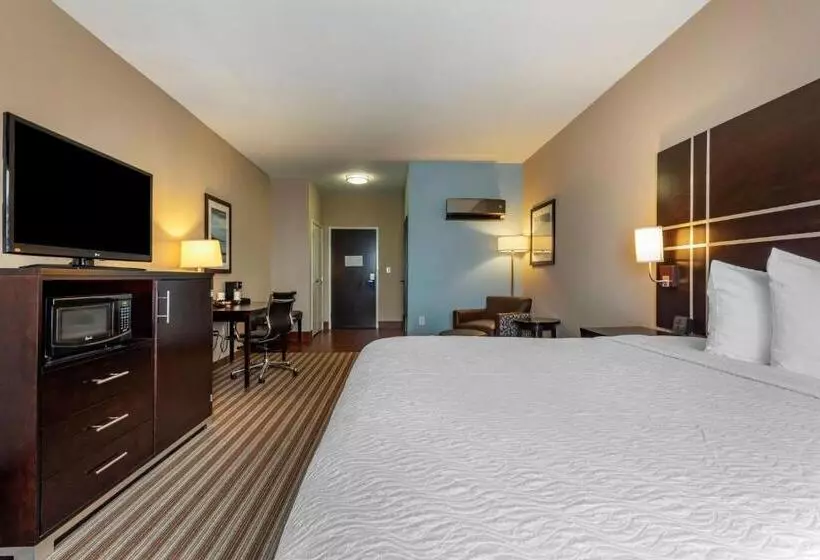 身障者適用キングサイズベッドルーム, Best Western Plus North Odessa Inn & Suites