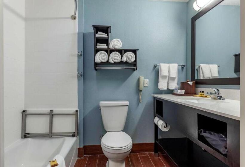 适合残疾人使用的标准间, Best Western Plus North Odessa Inn & Suites