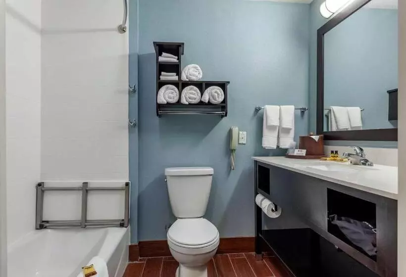 身障者適用スタンダードルーム, Best Western Plus North Odessa Inn & Suites