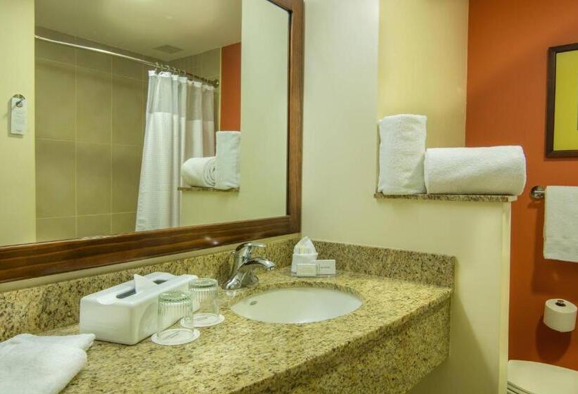חדר סטנדרט עם מיטת קינג, Courtyard By Marriott San Jose Airport Alajuela