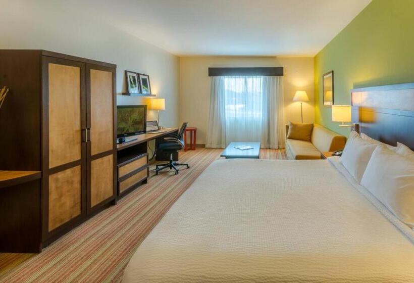 اتاق استاندارد با تخت بزرگ, Courtyard By Marriott San Jose Airport Alajuela