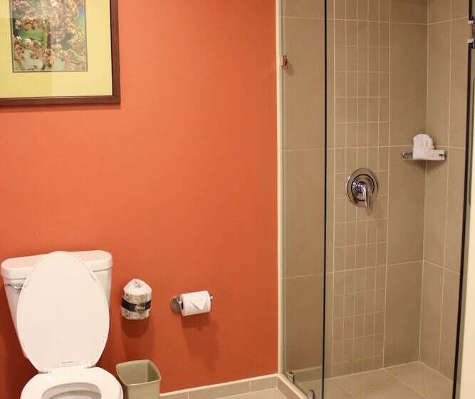 سوییت, Courtyard By Marriott San Jose Airport Alajuela